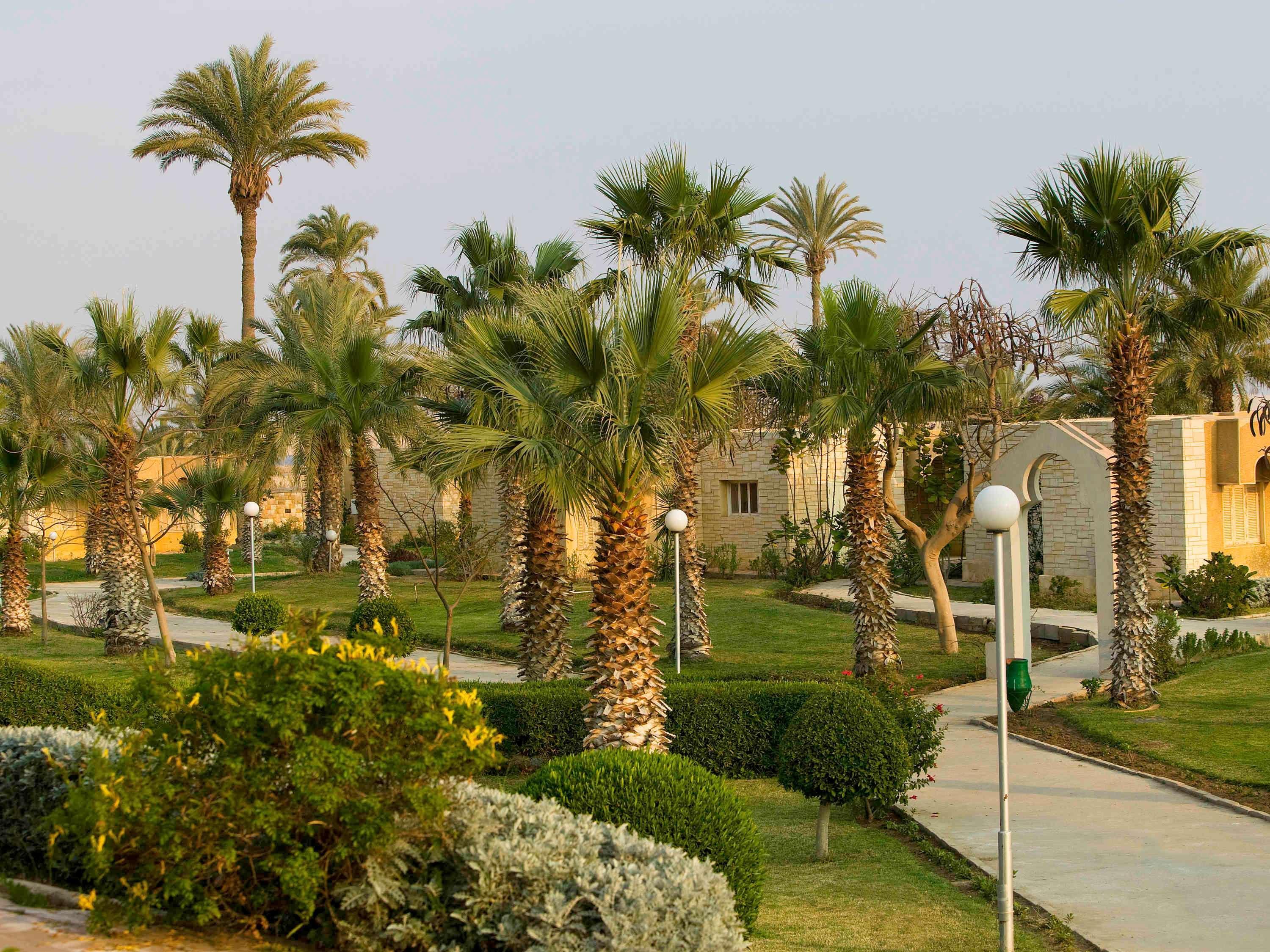 Mercure Ismailia Forsan Island Zewnętrze zdjęcie